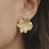 Adonis earrings - gold