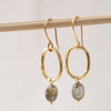 Graceful  Earrings - Labradorite Gold